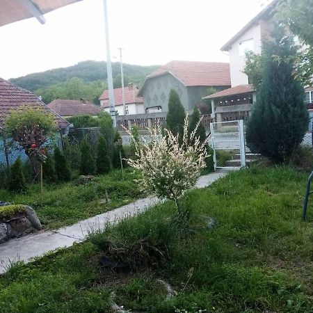 Apartmani Lina Ribarska Banja Exterior photo