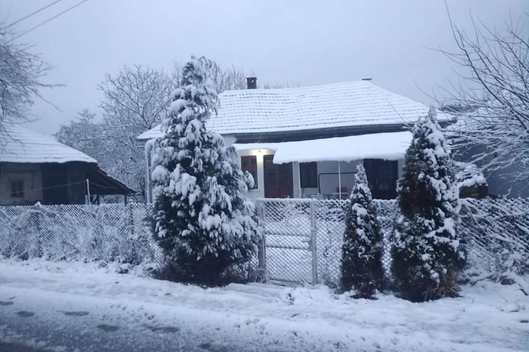 Apartmani Lina Ribarska Banja Exterior photo